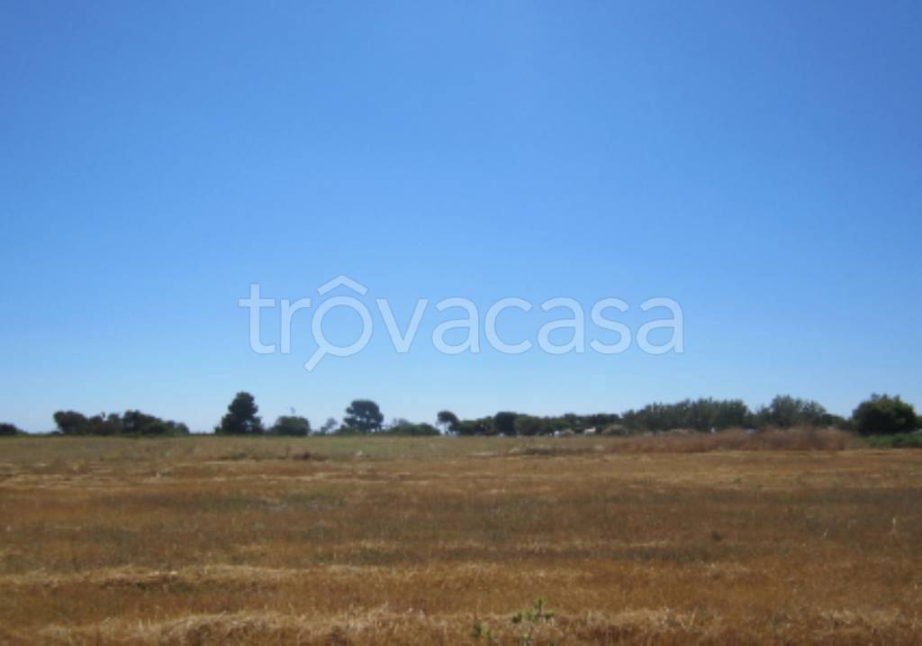 terreno agricolo in vendita a Crotone