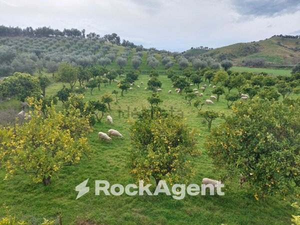 terreno agricolo in vendita a Crotone