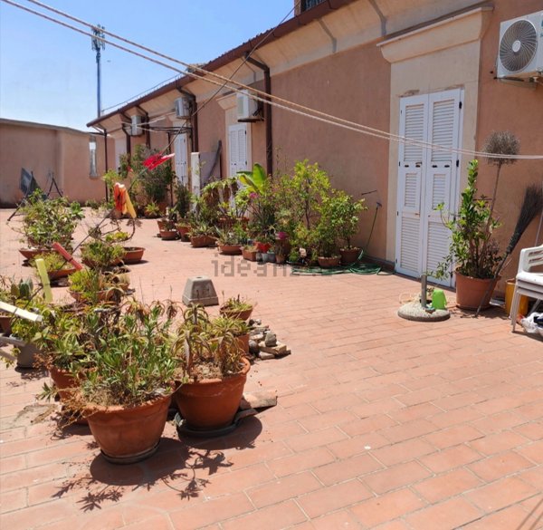 esavano in vendita a Crotone in zona Città Vecchia