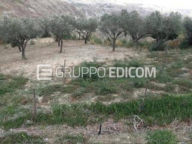 terreno agricolo in vendita a Cutro