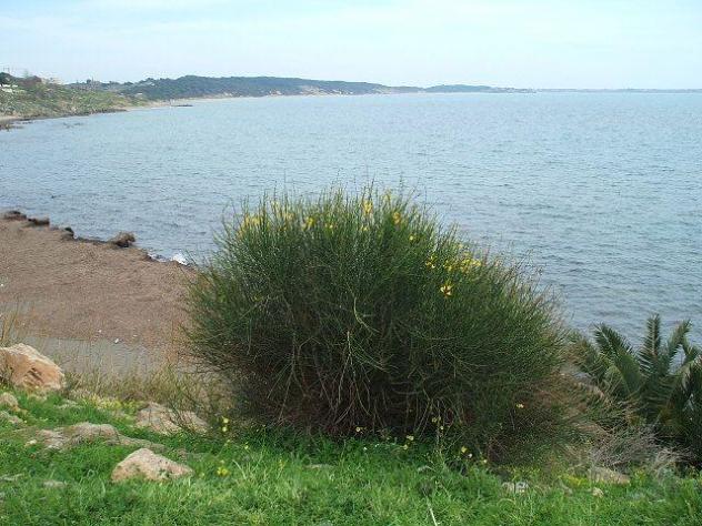 appartamento in vendita ad Isola di Capo Rizzuto in zona Le Castella