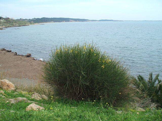 appartamento in vendita ad Isola di Capo Rizzuto in zona Le Castella