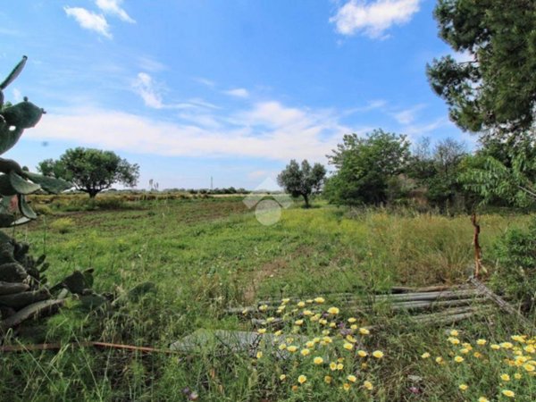terreno agricolo in vendita ad Isola di Capo Rizzuto in zona Le Castella