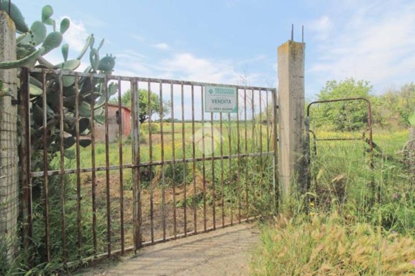 terreno agricolo in vendita ad Isola di Capo Rizzuto in zona Le Castella