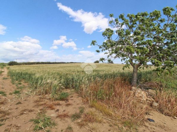 terreno agricolo in vendita ad Isola di Capo Rizzuto