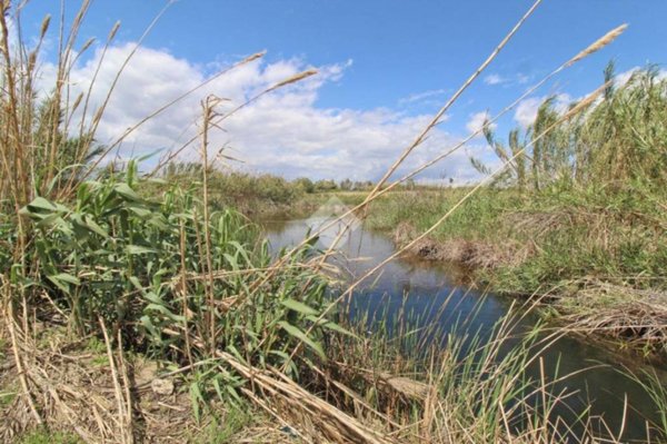 terreno agricolo in vendita ad Isola di Capo Rizzuto