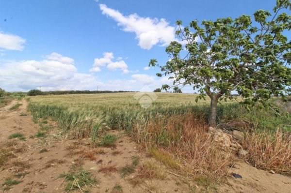 terreno agricolo in vendita ad Isola di Capo Rizzuto in zona Capo Rizzuto