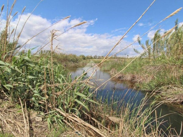 terreno agricolo in vendita ad Isola di Capo Rizzuto