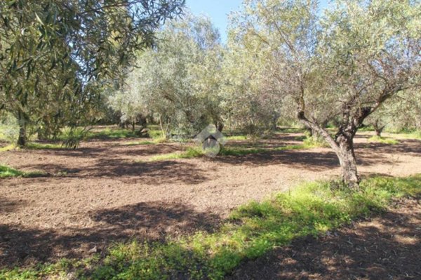 ufficio in vendita ad Isola di Capo Rizzuto