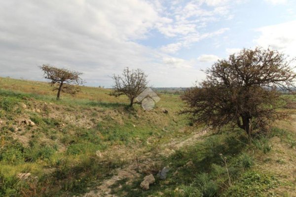 casa indipendente in vendita ad Isola di Capo Rizzuto