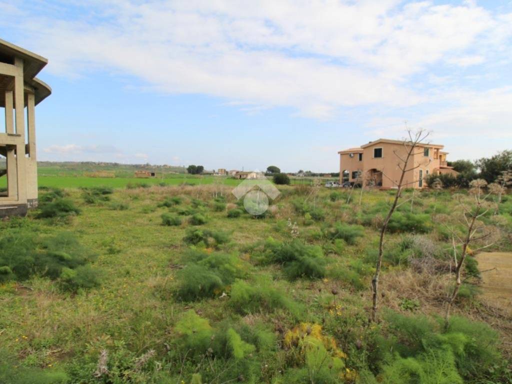 terreno agricolo in vendita ad Isola di Capo Rizzuto
