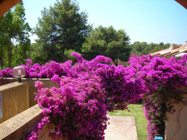 appartamento in vendita ad Isola di Capo Rizzuto