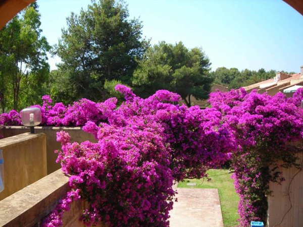 appartamento in vendita ad Isola di Capo Rizzuto
