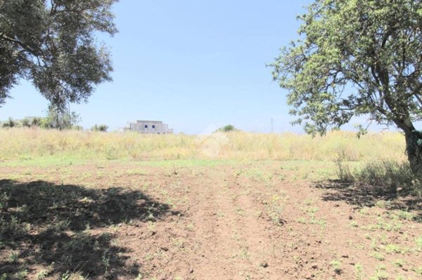 terreno agricolo in vendita ad Isola di Capo Rizzuto