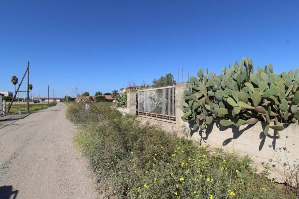 terreno agricolo in vendita ad Isola di Capo Rizzuto