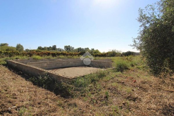 terreno agricolo in vendita ad Isola di Capo Rizzuto