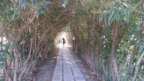 casa indipendente in vendita ad Isola di Capo Rizzuto
