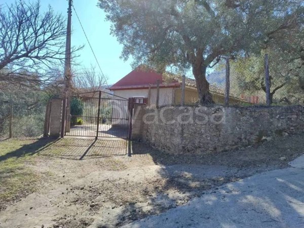appartamento in vendita a Petilia Policastro
