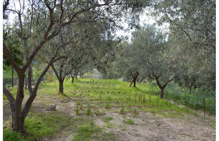 casa indipendente in vendita a Santa Severina