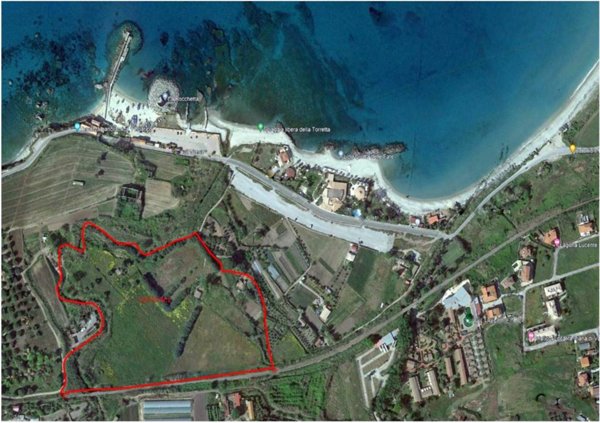 terreno agricolo in vendita a Briatico