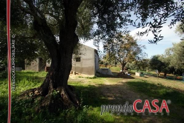 casa indipendente in vendita a Briatico