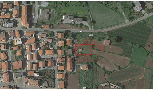 terreno agricolo in vendita a Briatico in zona San Costantino