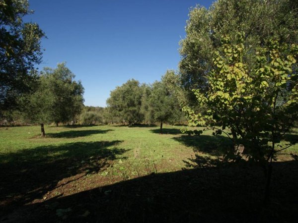 casa indipendente in vendita a Briatico