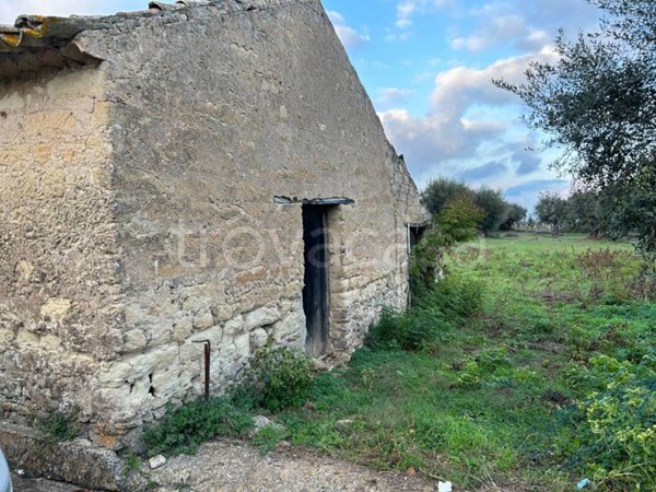terreno agricolo in vendita a Briatico in zona Mandaradoni