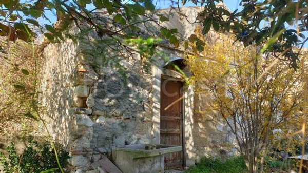 terreno agricolo in vendita a Briatico