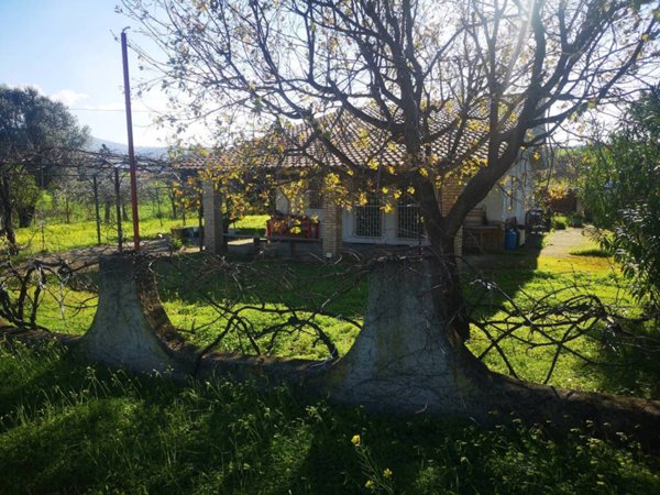 casa indipendente in vendita a Briatico