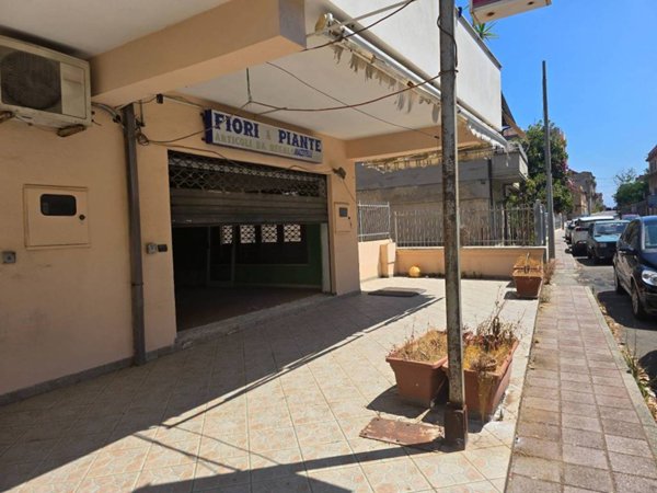 negozio in vendita a Briatico