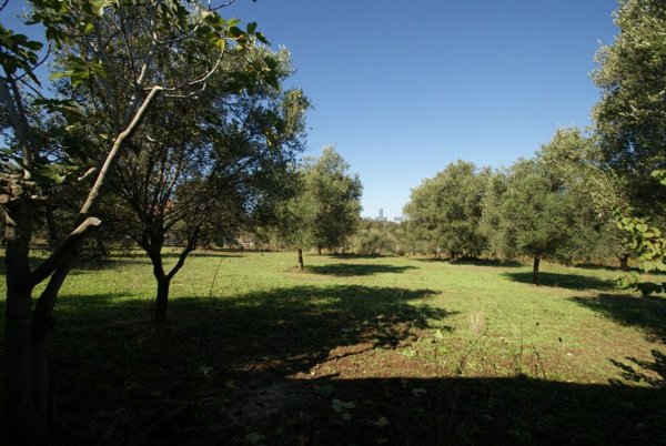 appartamento in vendita a Briatico