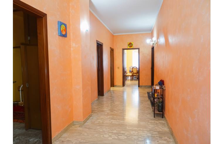 appartamento in vendita a Briatico