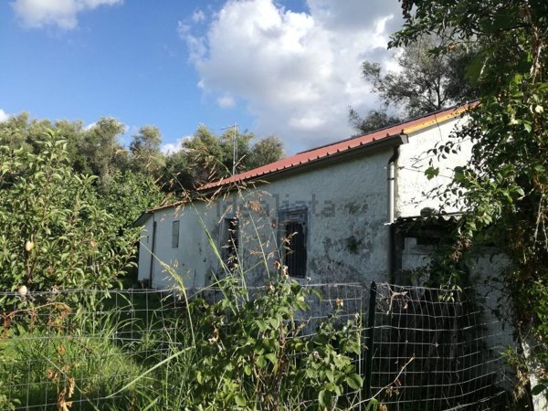 casa indipendente in vendita a Briatico