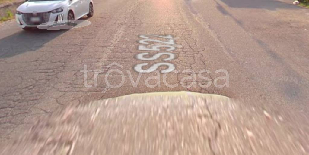 terreno agricolo in vendita a Briatico