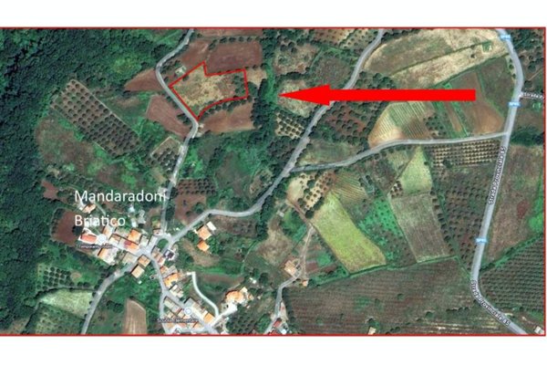 terreno agricolo in vendita a Briatico in zona Mandaradoni