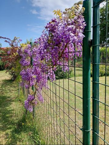 terreno agricolo in vendita a Briatico