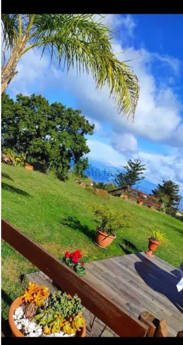 appartamento in vendita a Briatico