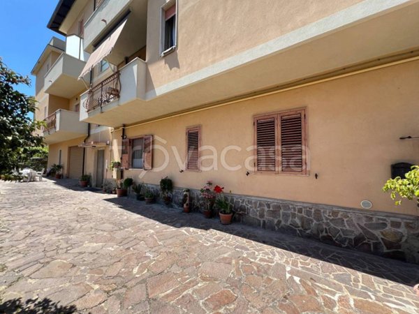 appartamento in vendita a Briatico