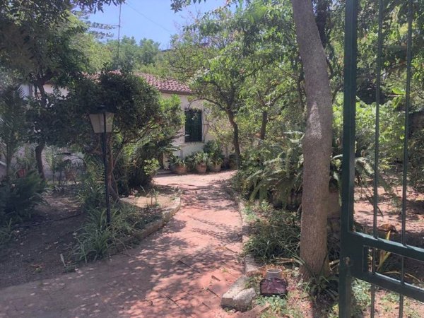casa indipendente in vendita a Briatico