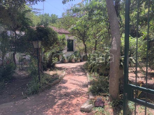 casa indipendente in vendita a Briatico in zona San Leo