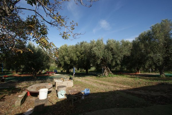 casale in vendita a Briatico