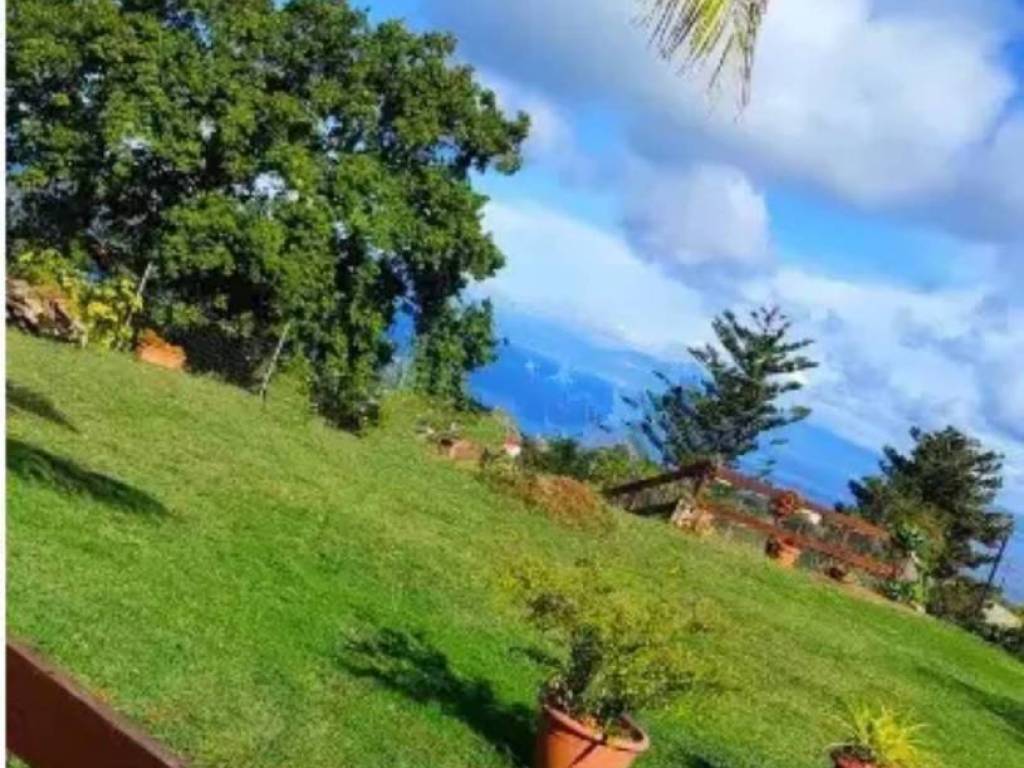 appartamento in vendita a Briatico