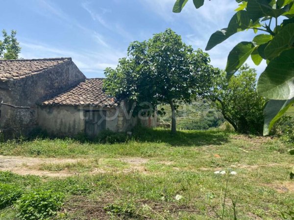 terreno agricolo in vendita a Cessaniti