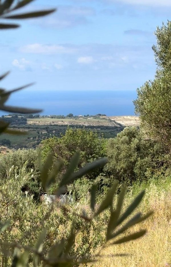 terreno agricolo in vendita a Cessaniti in zona Favelloni