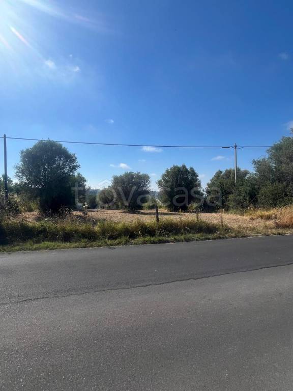 terreno agricolo in vendita a Cessaniti