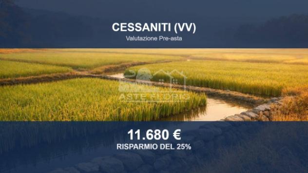 terreno agricolo in vendita a Cessaniti