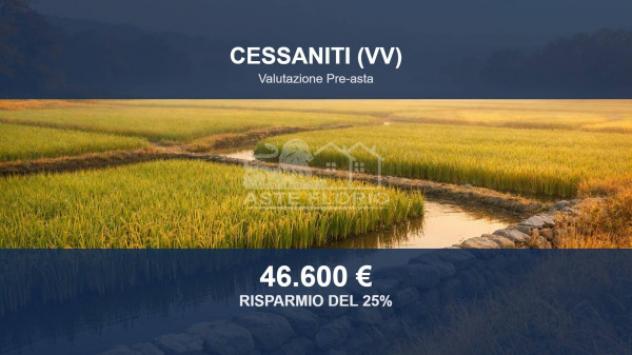 terreno agricolo in vendita a Cessaniti