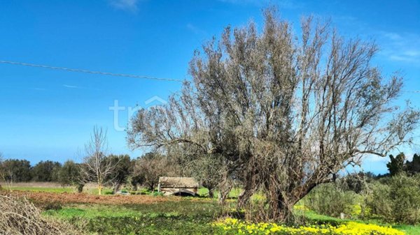 terreno agricolo in vendita a Drapia in zona Carìa
