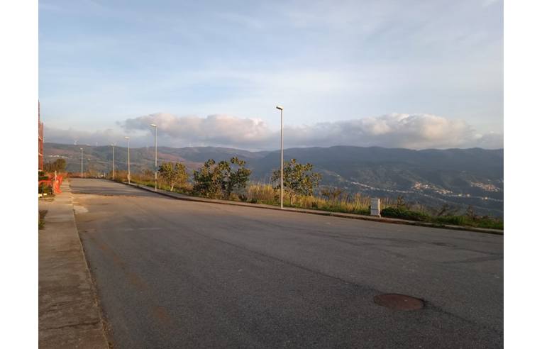 terreno agricolo in vendita a Filadelfia